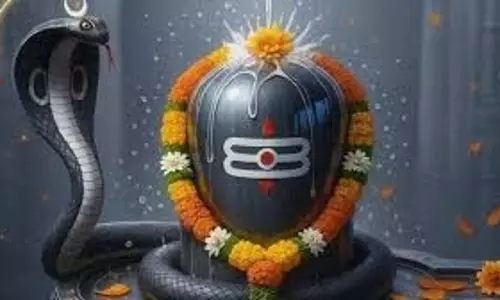 Kaal Sarp Dosh: सावन में काल सर्प दोष से मुक्ति पाने के लिए क्या करें, जानें इसके लक्षण और उपाय Kaal Sarp Dosh: सावन में काल सर्प दोष से मुक्ति पाने के लिए क्या करें, जानें इसके लक्षण और उपाय