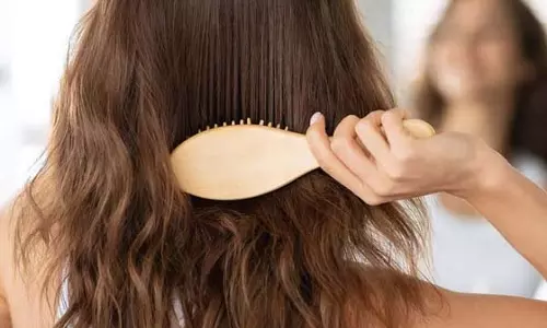 Hair Care Tips: हर दिन झड़ते बालों से हैं परेशान? अपनाएं ये आसान घरेलू उपाय, कुछ ही हफ्तों में दिखेगा फर्क Hair Care Tips: हर दिन झड़ते बालों से हैं परेशान? अपनाएं ये आसान घरेलू उपाय, कुछ ही हफ्तों में दिखेगा फर्क