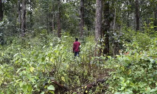 Haryana : 1,000 करोड़ रुपये खर्च, लेकिन हरियाणा का वन क्षेत्र केवल 12 वर्ग किमी बढ़ा Haryana : 1,000 करोड़ रुपये खर्च, लेकिन हरियाणा का वन क्षेत्र केवल 12 वर्ग किमी बढ़ा