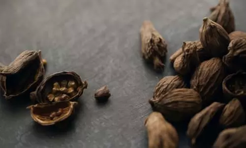 हिमालय की देन काली इलायची; स्वाद और सुगंध के साथ-साथ सेहत की साथी
