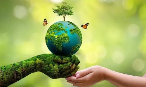 सृजन की सुरक्षा अभियान के अंतर्गत पर्यावरण संरक्षण की दिशा में कदम सृजन की सुरक्षा अभियान के अंतर्गत पर्यावरण संरक्षण की दिशा में कदम