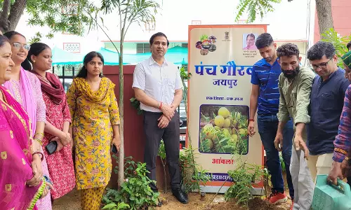 Jaipur: आंवले और लिसोड़े की उपयोगिता को लेकर जिला प्रशासन की अनूठी पहल