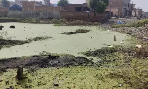 Haryana : पानीपत बंजर और जलभराव वाली भूमि को हरित क्षेत्र में बदलेगा Haryana : पानीपत बंजर और जलभराव वाली भूमि को हरित क्षेत्र में बदलेगा