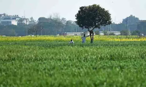 लैंड पूलिंग नीति, Punjab सरकार ने किसानों को 21 दिनों में आशय पत्र देने का वादा किया