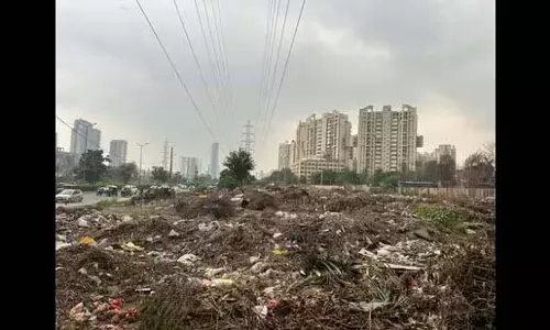 सफाई कर्मचारियों के पलायन से गुरुग्राम कूड़े के ढेर में डूबा सफाई कर्मचारियों के पलायन से गुरुग्राम कूड़े के ढेर में डूबा