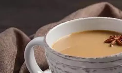 करक चाय बनाम मसाला चाय, तुलना एक नज़र में करक चाय बनाम मसाला चाय, तुलना एक नज़र में