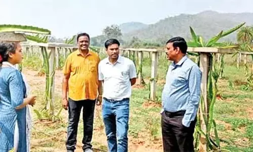 Odisha : महिलाएँ अपनी बागवानी फसलों से लाभ कमा रही Odisha : महिलाएँ अपनी बागवानी फसलों से लाभ कमा रही