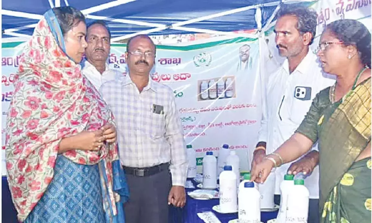 Andhra: कृषि लागत कम करने के लिए जैव-उर्वरकों के उपयोग का सुझाव दिया गया