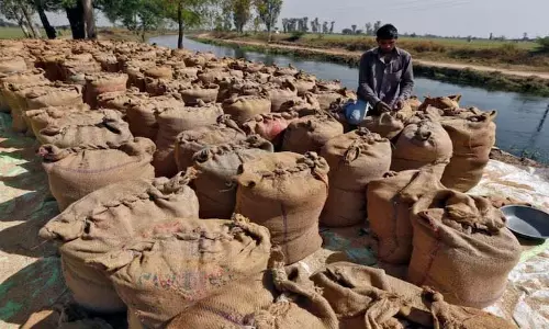 केंद्र के पास चावल और गेहूं का अतिरिक्त भंडार