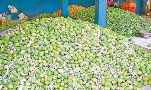 केंद्र ने Andhra में तोतापुरी आम के लिए 1,490 रुपये का समर्थन मूल्य मंजूर किया केंद्र ने Andhra में तोतापुरी आम के लिए 1,490 रुपये का समर्थन मूल्य मंजूर किया