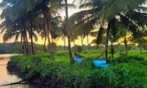 विशेषज्ञों ने Goa के नए एस्कीट्स अधिनियम की आलोचना की