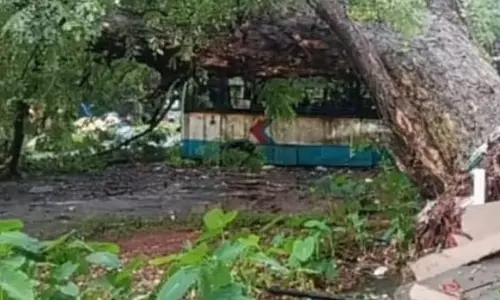 मडगांव KTC डिपो में कबाड़ बसों पर विशाल पेड़ गिरा, चार बसें क्षतिग्रस्त मडगांव KTC डिपो में कबाड़ बसों पर विशाल पेड़ गिरा, चार बसें क्षतिग्रस्त