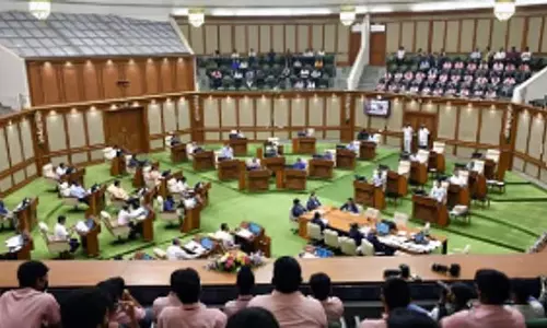Yuri अलेमाओ ने डाउनग्रेड किए गए कोयले के सवाल पर व्यवस्था का मुद्दा उठाया