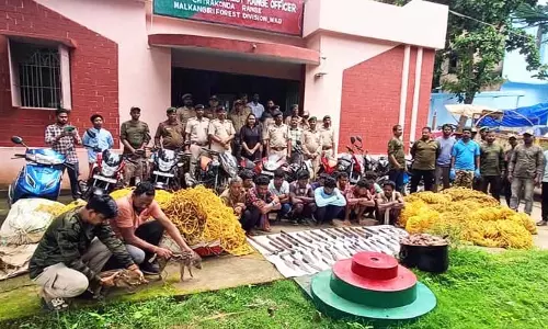 मलकानगिरी में जंगली सूअर के शिकार के आरोप में 11 गिरफ्तार मलकानगिरी में जंगली सूअर के शिकार के आरोप में 11 गिरफ्तार