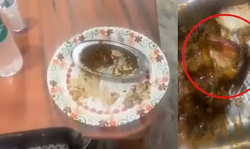 ब्रेड और करी में उर्सुला! वीडियो वायरल, ढाबा मालिक ने किया खंडन