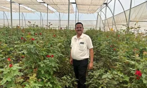 परम्परागत कृषि छोड़ दिनेश ने शुरू की गुलाब की खेती, बम्पर उत्पादन से लाखों में हो रही है कमाई