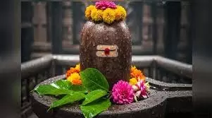 Sawan Shivratri 2025: सावन शिवरात्रि में भोलेनाथ को कौन से फूल, भोग और जल अर्पित करें Sawan Shivratri 2025: सावन शिवरात्रि में भोलेनाथ को कौन से फूल, भोग और जल अर्पित करें