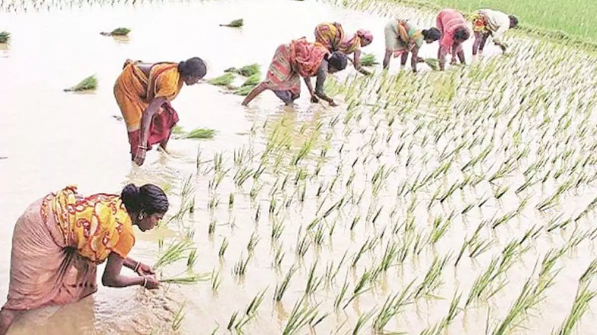 Raigarh : पीएमएफबीवाई खरीफ-रबी 2025 फसल बीमा अब खुला Raigarh : पीएमएफबीवाई खरीफ-रबी 2025 फसल बीमा अब खुला