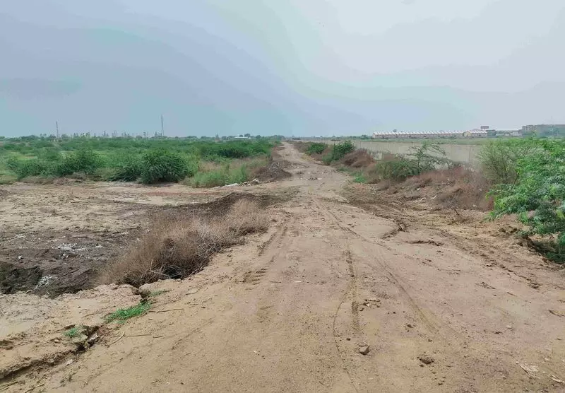 Haryana : हिसार में 50 एकड़ में बनेगा डेयरी कॉम्प्लेक्स Haryana : हिसार में 50 एकड़ में बनेगा डेयरी कॉम्प्लेक्स