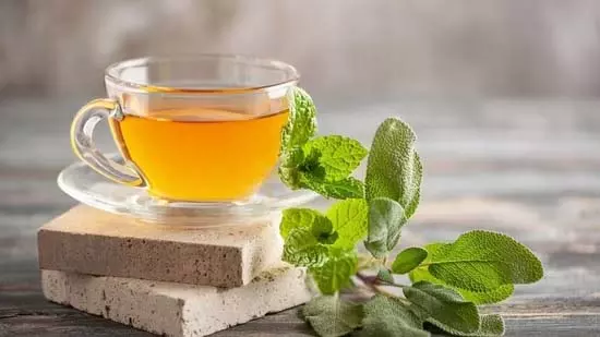 हर्बल चाय की बढ़ती लोकप्रियता, जानिए डॉक्टरों की नजर से 5 बड़े कारण हर्बल चाय की बढ़ती लोकप्रियता, जानिए डॉक्टरों की नजर से 5 बड़े कारण