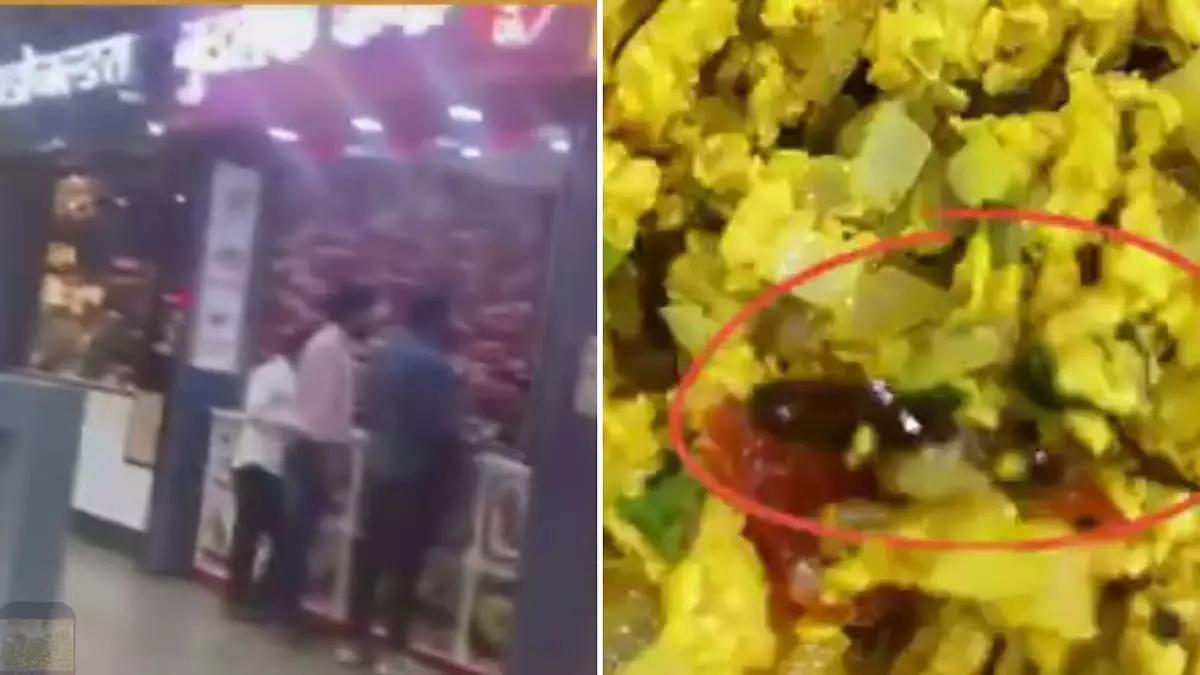 पुणे-मुंबई एक्सप्रेसवे पर गुडलक कैफे की भुर्जी में मिला कॉकरोच पुणे-मुंबई एक्सप्रेसवे पर गुडलक कैफे की भुर्जी में मिला कॉकरोच