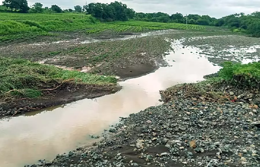 Karnataka : वरुणाभाटा के कारण फसलें नष्ट, पुल क्षतिग्रस्त Karnataka : वरुणाभाटा के कारण फसलें नष्ट, पुल क्षतिग्रस्त