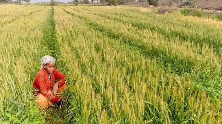 Bargarh के किसानों ने खरीफ धान खरीद पंजीकरण नीति को वापस लेने की मांग की Bargarh के किसानों ने खरीफ धान खरीद पंजीकरण नीति को वापस लेने की मांग की