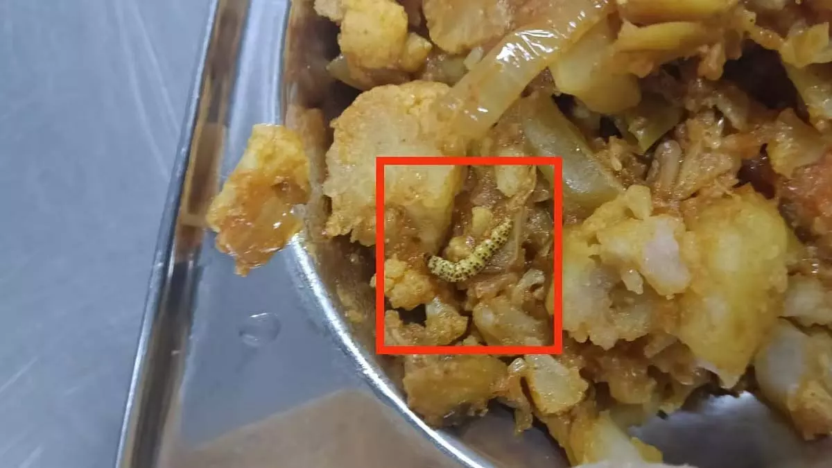 एसपीपीयू के भोजनालय में स्वच्छता की कमी, छात्रों ने की सुधार की मांग एसपीपीयू के भोजनालय में स्वच्छता की कमी, छात्रों ने की सुधार की मांग