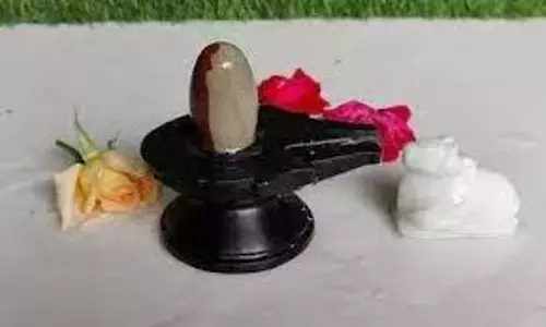 Sawan 2025: सावन शिवरात्रि पर करें ये अचूक उपाय, पैसों से भर जाएगी आपकी तिजोरी Sawan 2025: सावन शिवरात्रि पर करें ये अचूक उपाय, पैसों से भर जाएगी आपकी तिजोरी