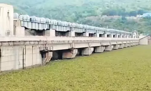 Srisailam जलाशय में व्यापक जलकुंभी से पारिस्थितिकीय चिंता बढ़ी Srisailam जलाशय में व्यापक जलकुंभी से पारिस्थितिकीय चिंता बढ़ी