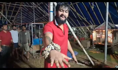 स्टेज परफॉर्मेंस में सांप का इस्तेमाल: वन अधिकारियों ने जाजपुर में तुलसी गणनाट्य के अखाड़े पर छापा मारा स्टेज परफॉर्मेंस में सांप का इस्तेमाल: वन अधिकारियों ने जाजपुर में तुलसी गणनाट्य के अखाड़े पर छापा मारा