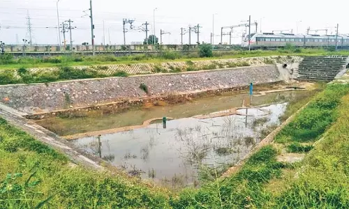दिल्ली-मेरठ नमो भारत कॉरिडोर पर वर्षा जल संचयन के 900 गड्ढे तैयार दिल्ली-मेरठ नमो भारत कॉरिडोर पर वर्षा जल संचयन के 900 गड्ढे तैयार