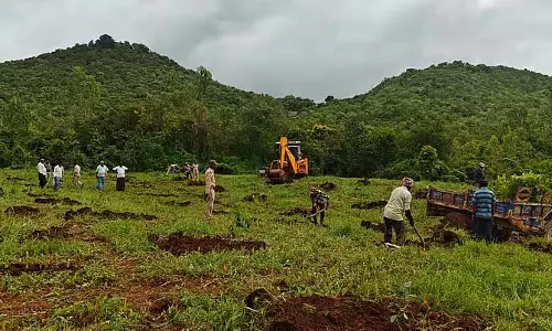 क्या अब से राज्य के सभी वन क्षेत्रों में मवेशियों के चरने पर प्रतिबंध लगा दिया जाएगा?
