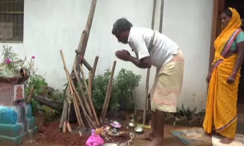 छत्तीसगढ़ का परंपरागत तिहार हरेली