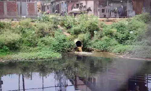 बुड्ढा नाला के पुनरुद्धार के लिए NGT ने पंजाब सरकार से एक सप्ताह के भीतर कार्ययोजना सौंपने को कहा बुड्ढा नाला के पुनरुद्धार के लिए NGT ने पंजाब सरकार से एक सप्ताह के भीतर कार्ययोजना सौंपने को कहा