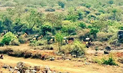 कांचा गाचीबोवली, SC ने विकास के नाम पर जंगलों को उजाड़ने के खिलाफ चेतावनी दी