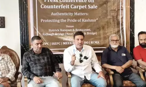 कश्मीरी कालीन व्यापारियों ने नकली कालीनों पर कार्रवाई की मांग की
