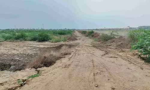 Haryana : हिसार में 50 एकड़ में बनेगा डेयरी कॉम्प्लेक्स