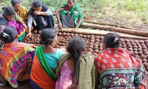 आदिवासी महिलाएं वनों को पुनर्जीवित करने के लिए बीज गेंदों का इस्तेमाल करेंगी