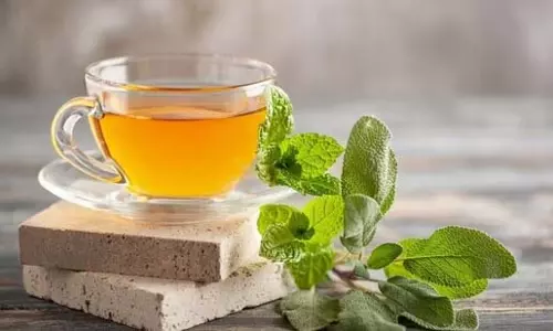 हर्बल चाय की बढ़ती लोकप्रियता, जानिए डॉक्टरों की नजर से 5 बड़े कारण हर्बल चाय की बढ़ती लोकप्रियता, जानिए डॉक्टरों की नजर से 5 बड़े कारण