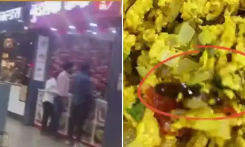 पुणे-मुंबई एक्सप्रेसवे पर गुडलक कैफे की भुर्जी में मिला कॉकरोच पुणे-मुंबई एक्सप्रेसवे पर गुडलक कैफे की भुर्जी में मिला कॉकरोच