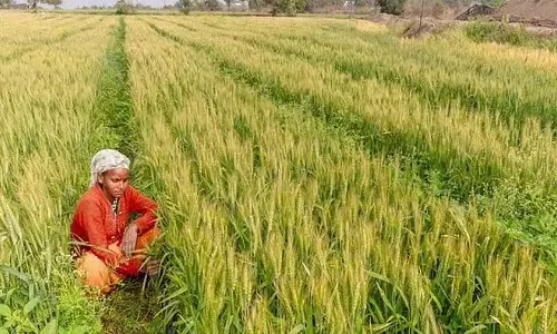 Bargarh के किसानों ने खरीफ धान खरीद पंजीकरण नीति को वापस लेने की मांग की