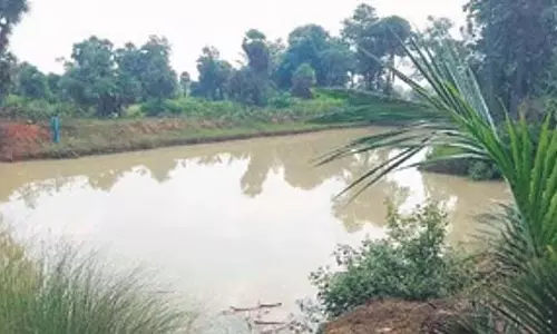 विजिलेंस ने आय से अधिक संपत्ति मामले में DFO को गिरफ्तार किया विजिलेंस ने आय से अधिक संपत्ति मामले में DFO को गिरफ्तार किया