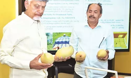 मुख्यमंत्री चंद्रबाबू: नहरों में पानी छोड़ा जाए