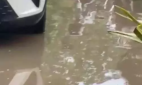 सरकारी दफ्तर के परिसर में जलभराव