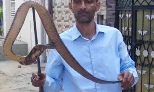 Ludhiana district में मानसून के कारण सर्पदंश की घटनाएं बढ़ीं, 5 लोगों की मौत Ludhiana district में मानसून के कारण सर्पदंश की घटनाएं बढ़ीं, 5 लोगों की मौत