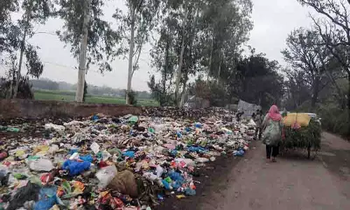 Gurdaspur में कूड़े के ढेर लगने से महामारी का खतरा मंडराने लगा