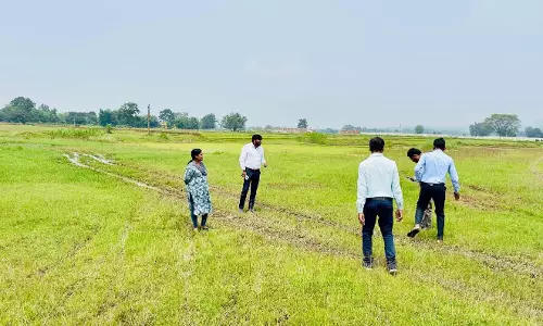 एग्रीस्टैक परियोजना के अंतर्गत ‘डीसीएस’ ऐप के माध्यम से किया जाएगा रियल टाइम फसल सर्वेक्षण