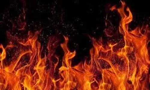 उत्पीड़न से तंग आकर तमिलनाडु की महिला ने खुद को आग लगा ली