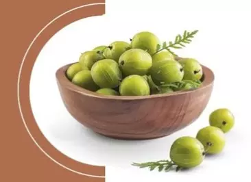सर्दी, गर्मी और बरसात, हर मौसम में ‘रसायनों का राजा’ खास सर्दी, गर्मी और बरसात, हर मौसम में ‘रसायनों का राजा’ खास
